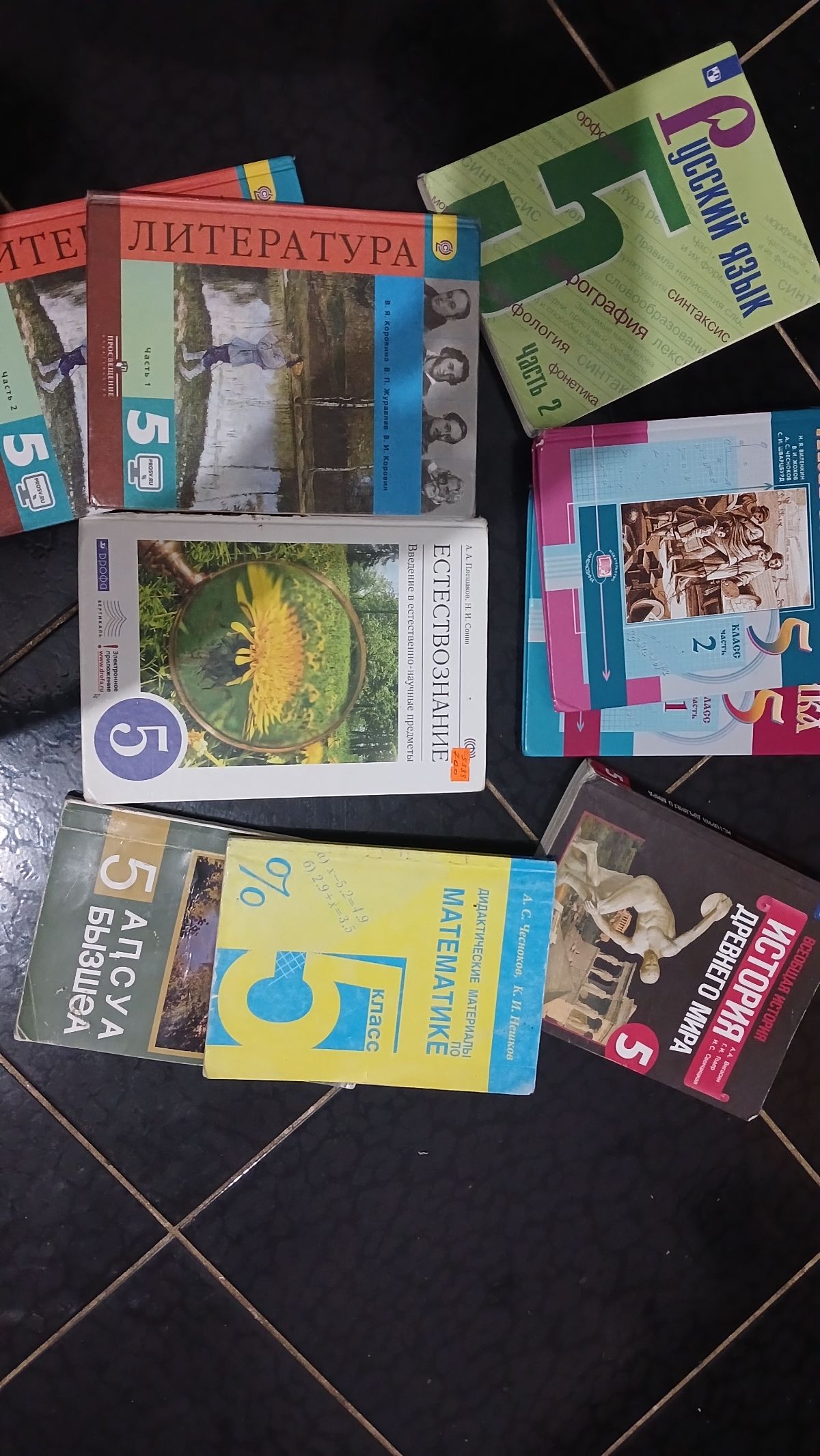 Учебник 5 кл